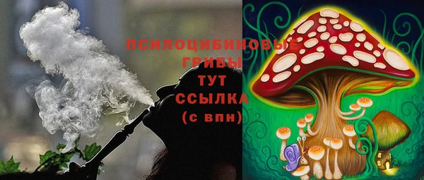 a pvp Дмитриев