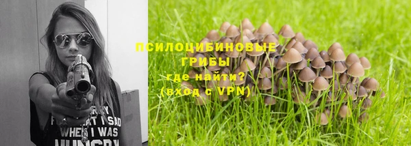 a pvp Дмитриев