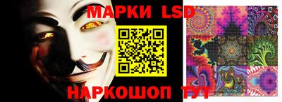 наркотики Гатчина