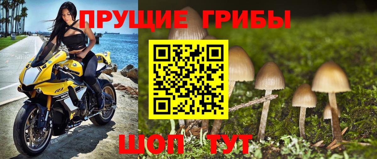 Псилоцибиновые грибы ЛСД Каспийск